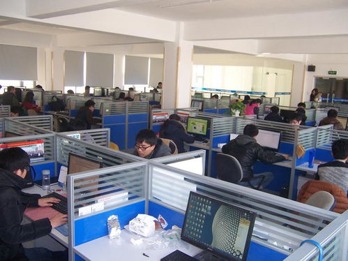 國子軟件官網 專業信息系統集成服務，助力企業數字化升級